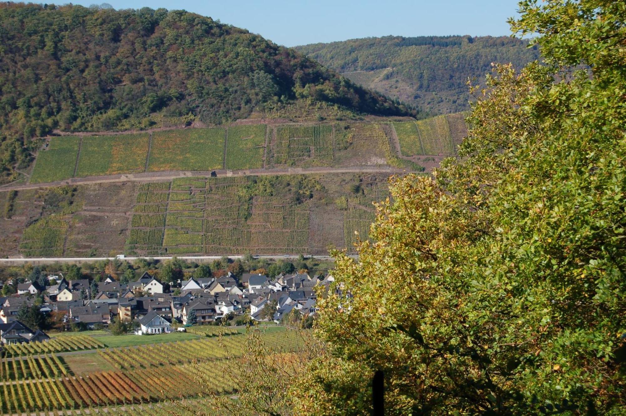 Ferienhaus Mosel Bub Bruttig-Fankel Extérieur photo
