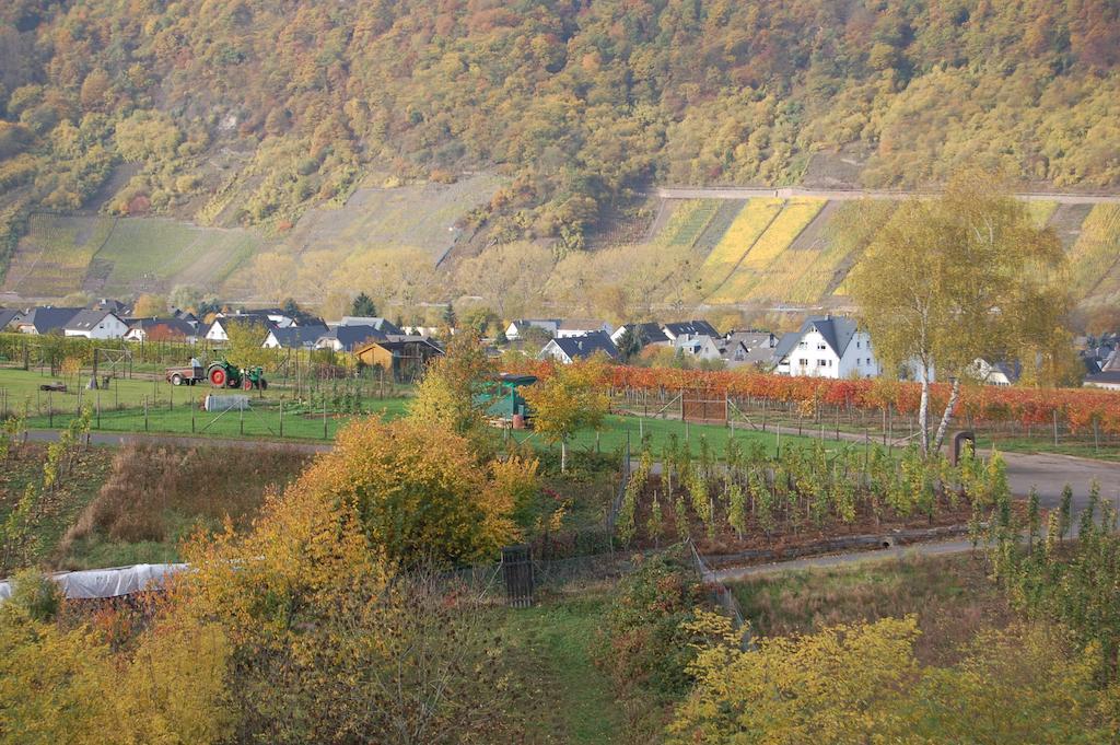 Ferienhaus Mosel Bub Bruttig-Fankel Chambre photo